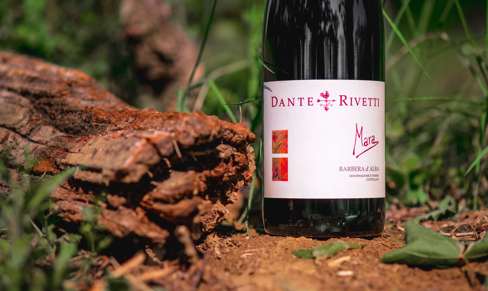 Dante Rivetti